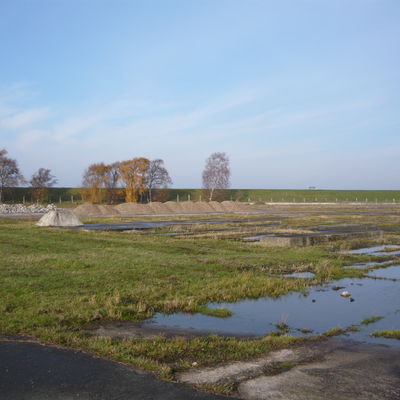 Gro&szlig;es Bild anzeigen